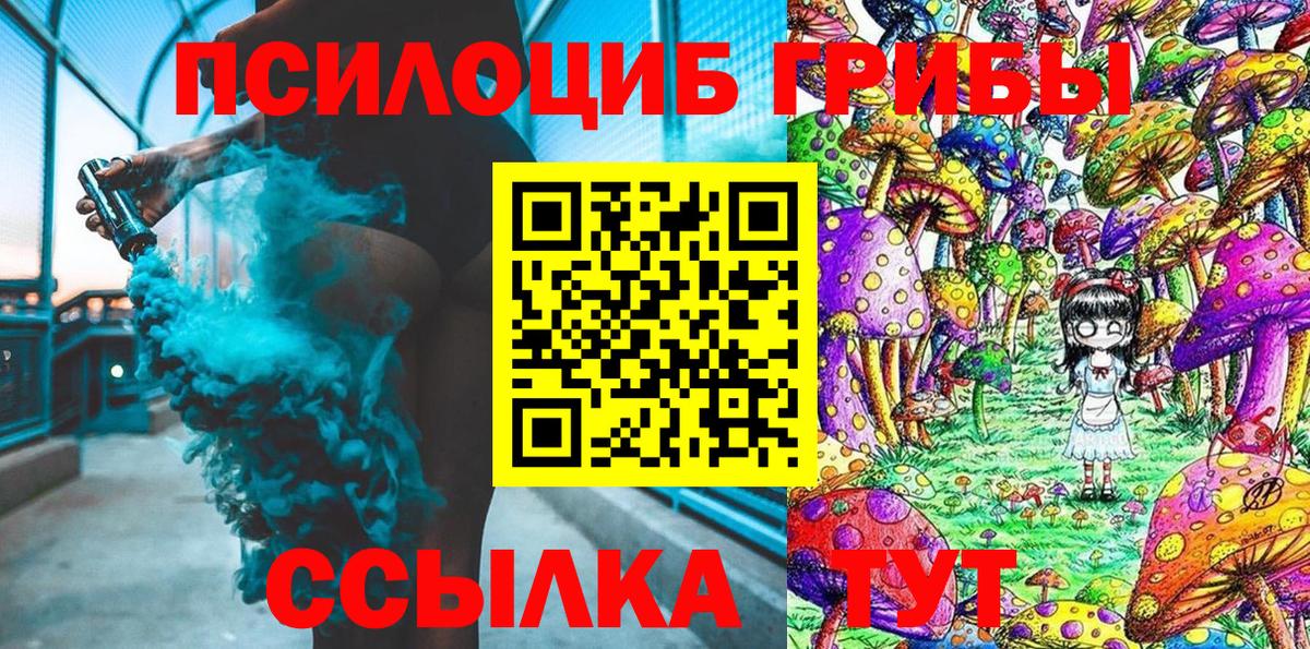 Псилоцибиновые грибы мицелий Грязи