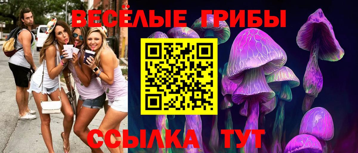 Грязи  Галлюциногенные грибы Psilocybine cubensis  Галлюциногенные грибы Psilocybine cubensis  Вход с VPN 